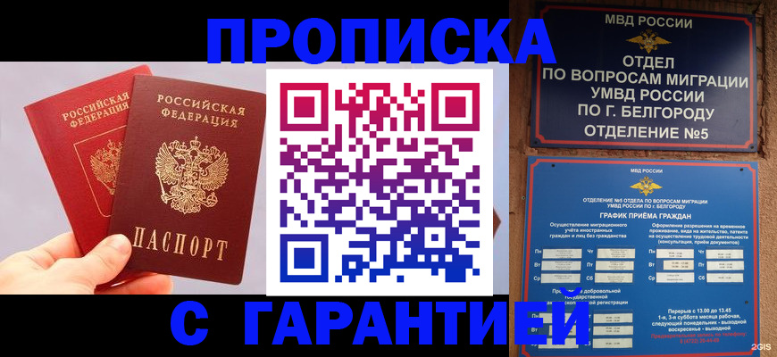 прописка 2025 в Тынде